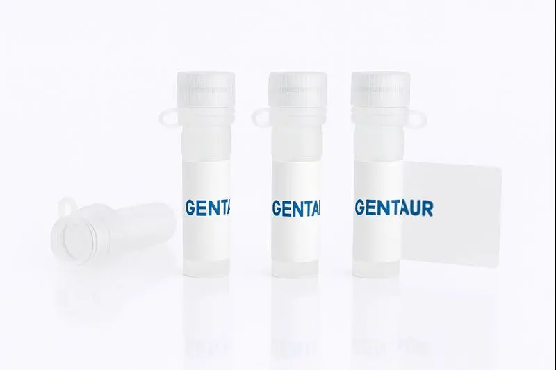 Colloidal Gold Conjugated Allium sativum Lectin (Garlic) -ASA-  5nm Particle Size 