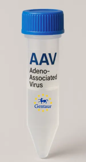 SPAST AAV Vector (Mouse) (CMV)