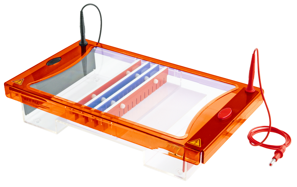 Complete Denaturing Gradient Gel Electrophoresis System, 20x20cm